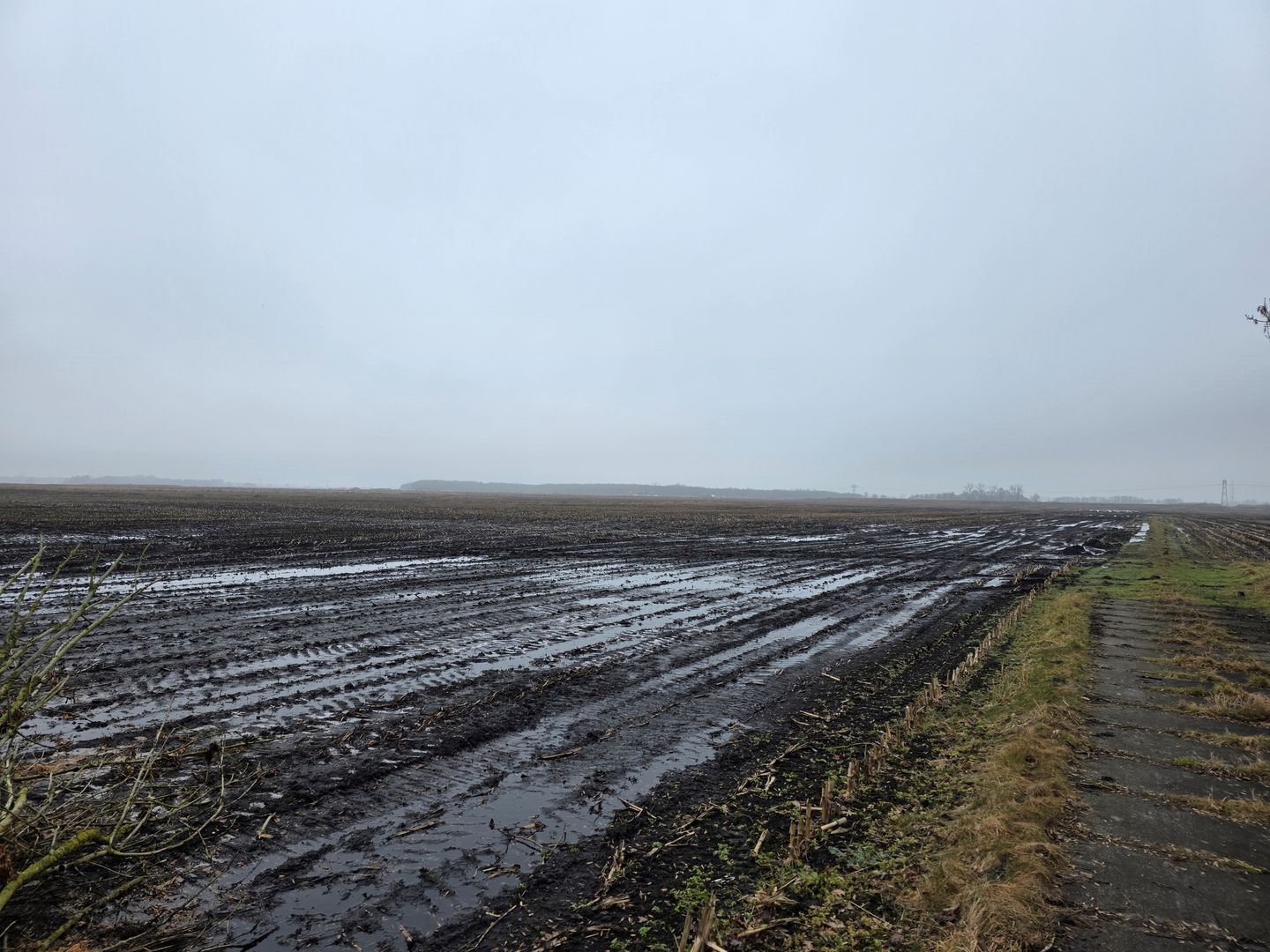 View photo 4 of Hamweg 100