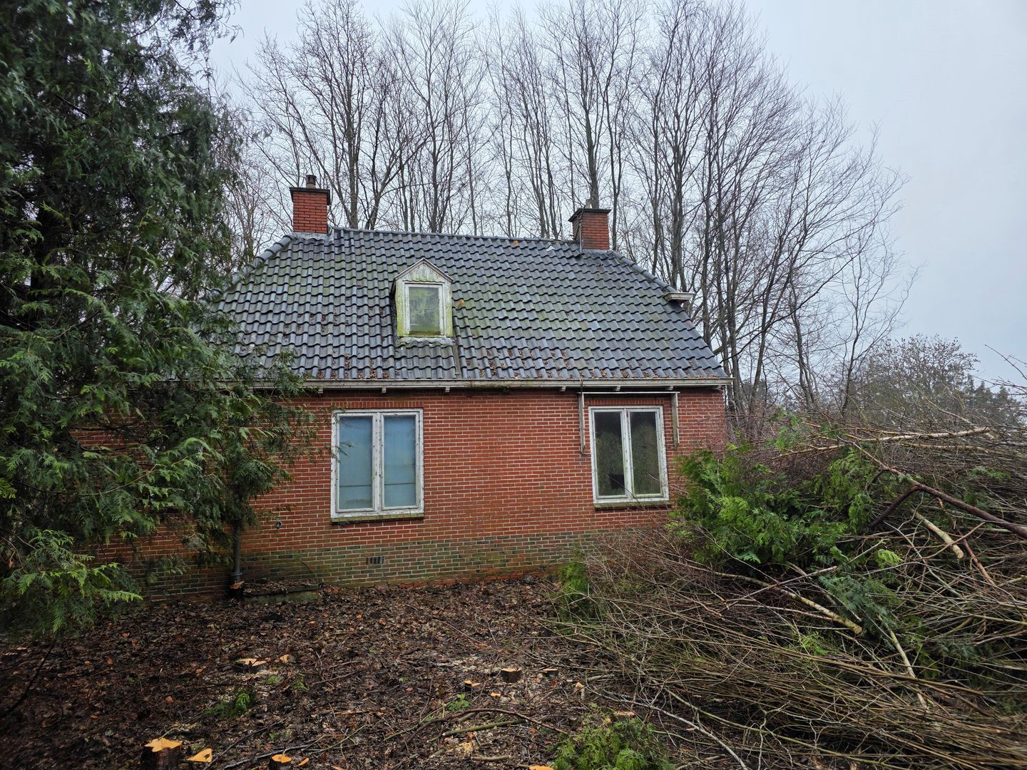 View photo 3 of Hamweg 100