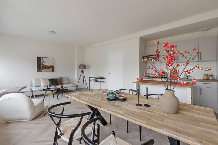 Foto 3 van Albertus Perkstraat 3-B