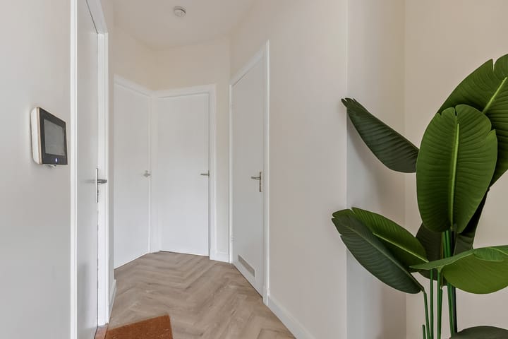 Foto 4 van Albertus Perkstraat 3-B