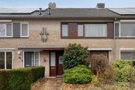 Lupinelaan thumbnail