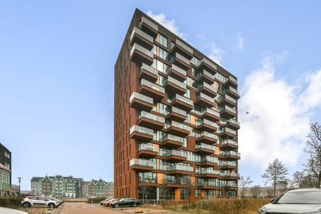 undefined main image