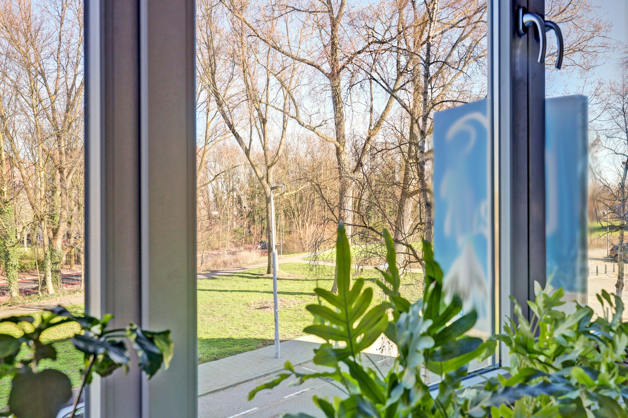 Foto 6 van Kalmoesstraat 6