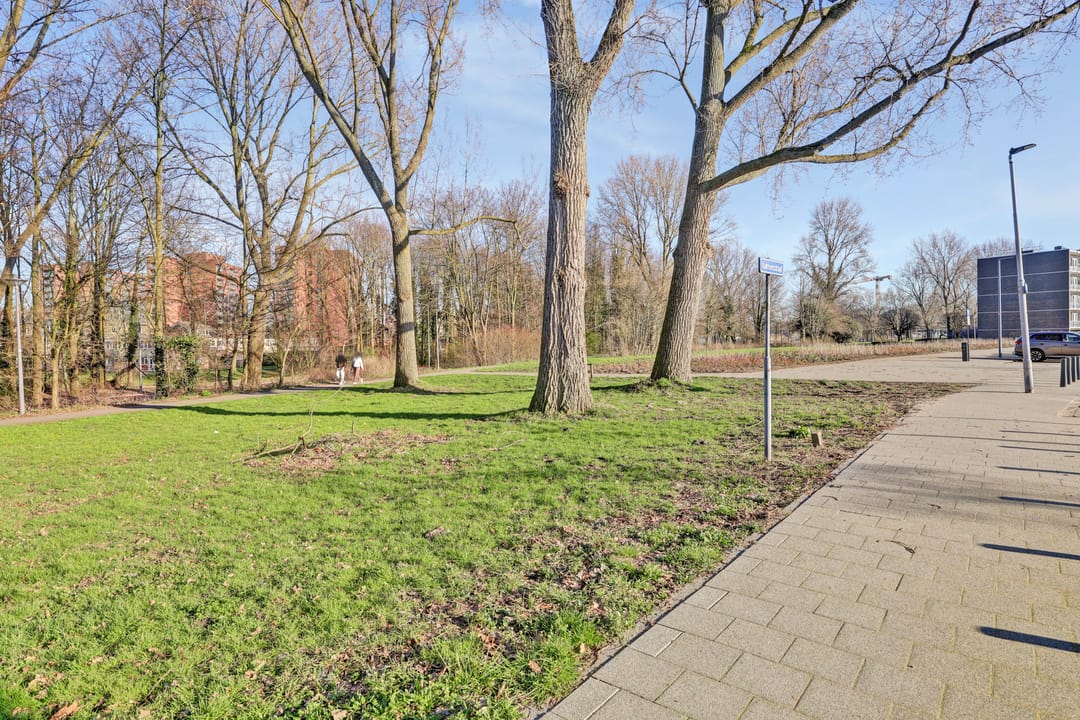 Foto 23 van Kalmoesstraat 6