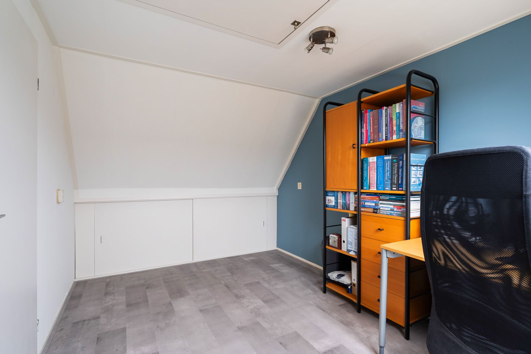 Foto 48 van Schaepmanstraat 3