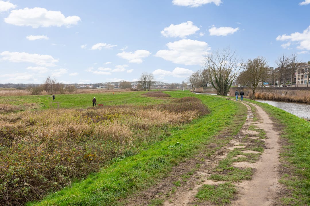 Foto 43 van Verwersstraat 82