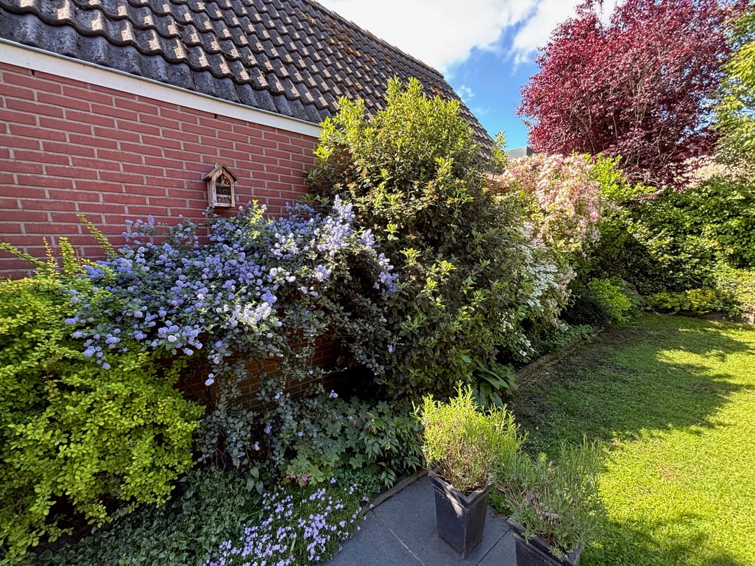 Photo 41 of Driehuizerweg 10