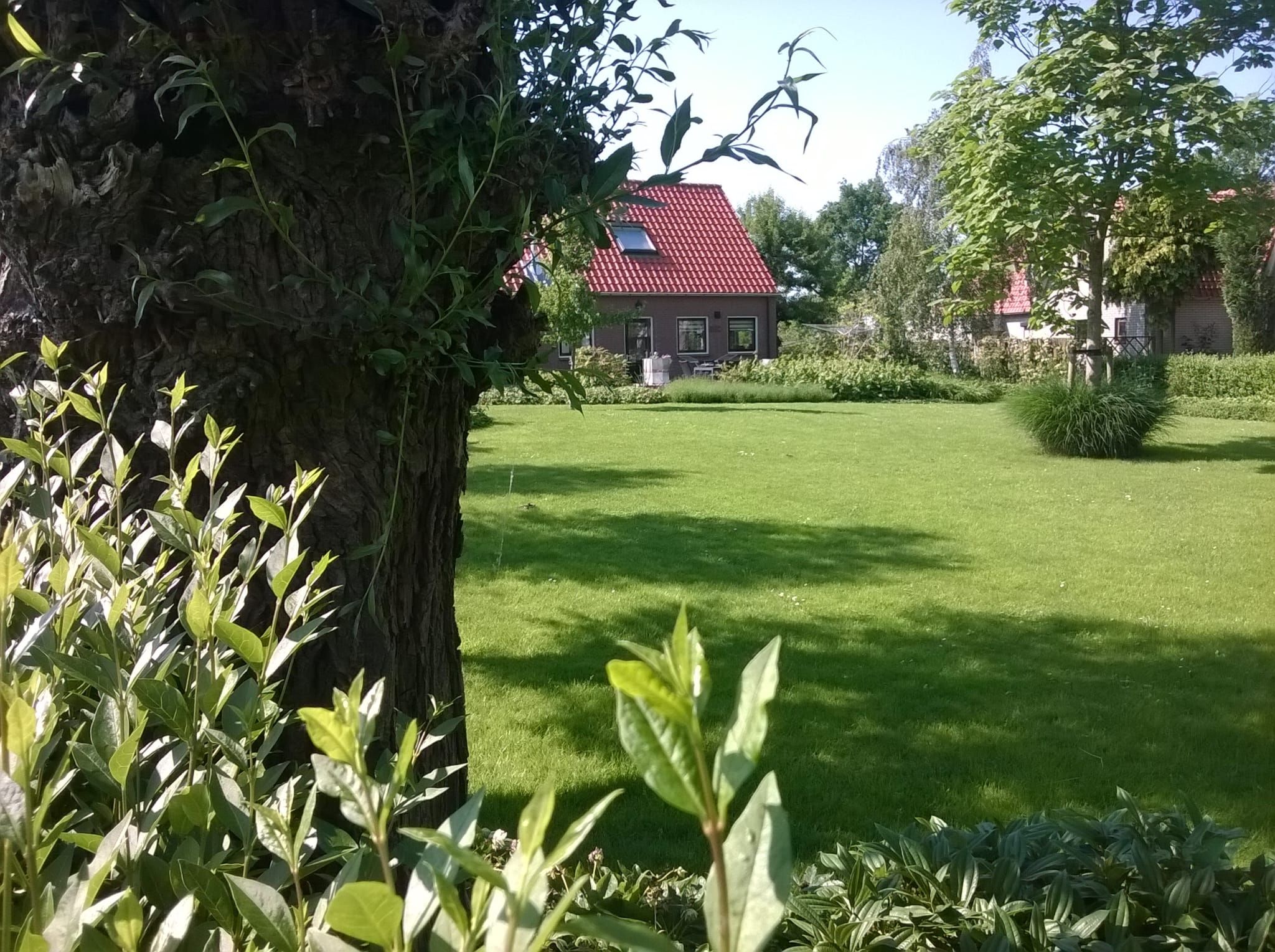 Photo 75 of Kortland 3-A