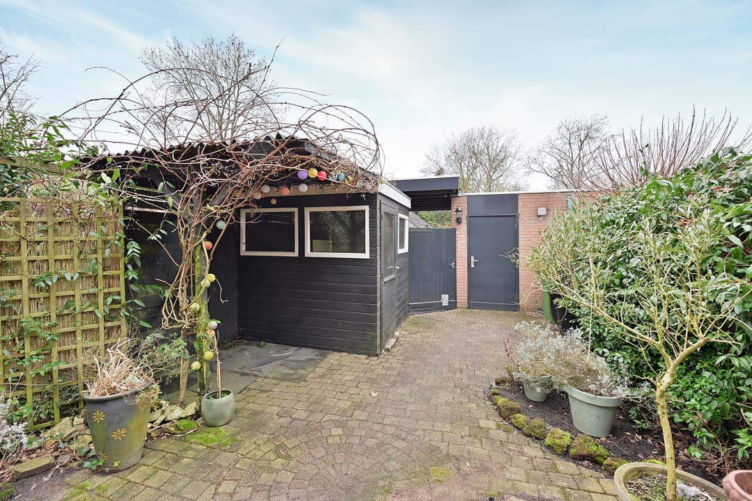 Foto 11 van Poolvos 25