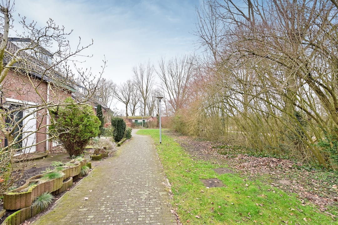 Foto 13 van Poolvos 25