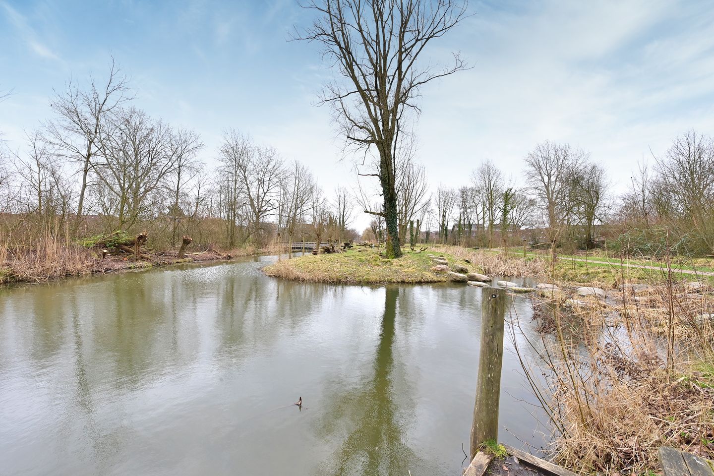 Foto 14 van Poolvos 25