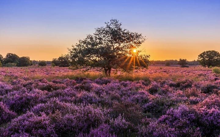 Image of Bouwkavel undefined