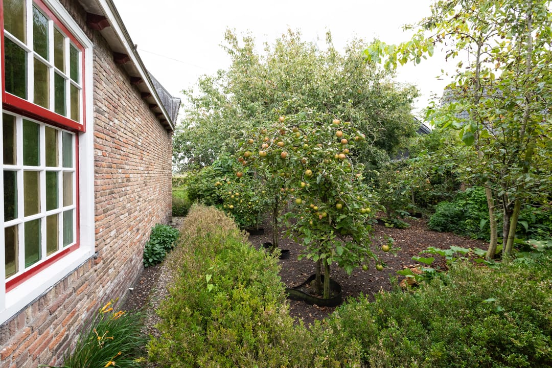 Foto 37 van Oudeweg 78