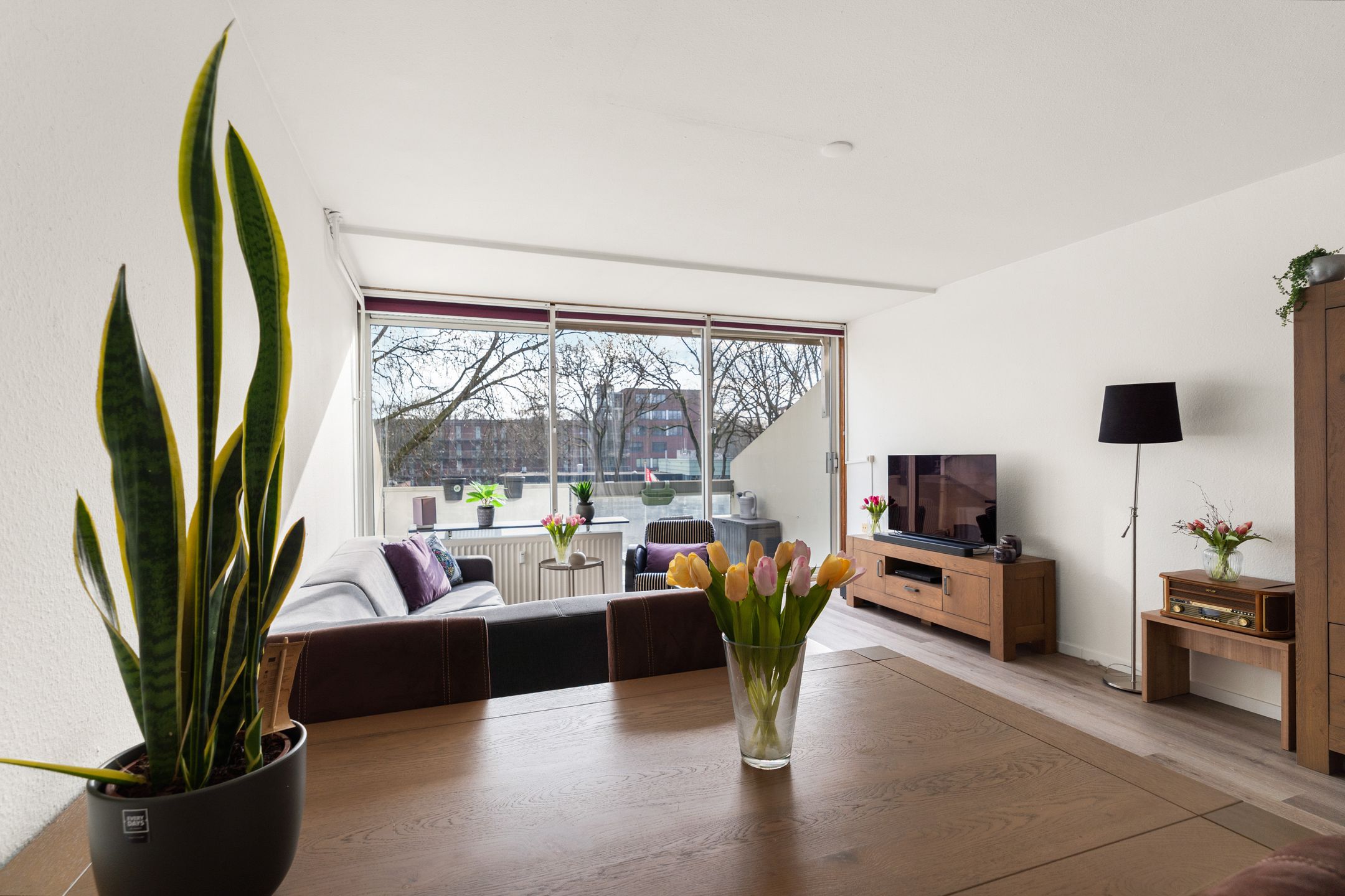 Foto 12 van Dillenburg 394