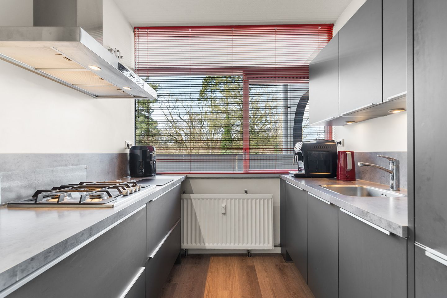 Foto 14 van Dillenburg 394