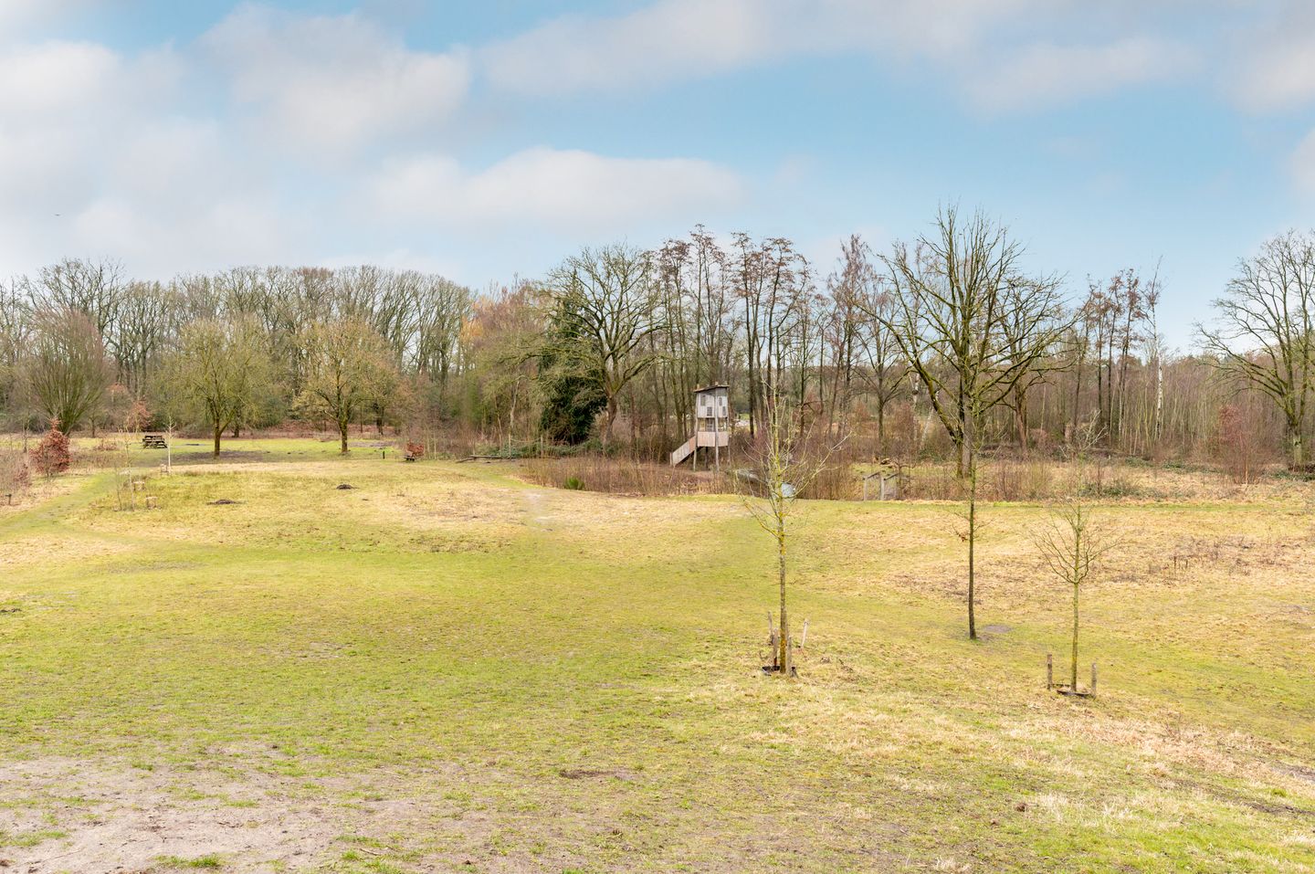 Photo 40 of Haydnstraat 14-B