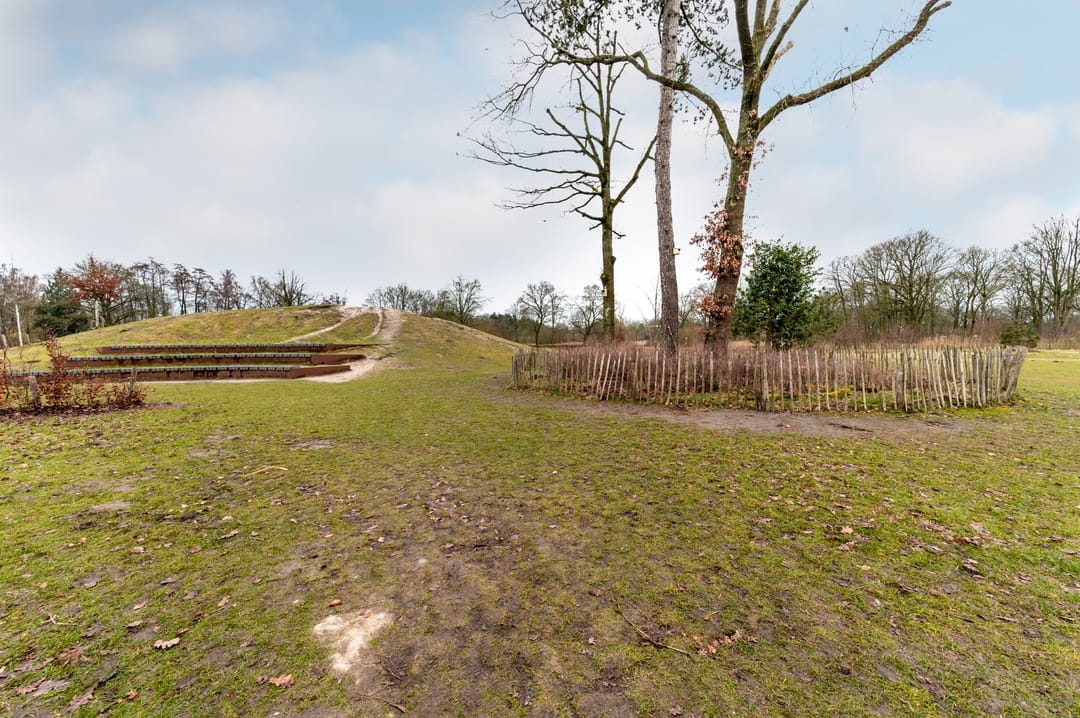 Photo 43 of Haydnstraat 14-B