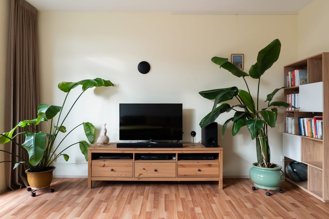 Photo 31 of Struikheide 10