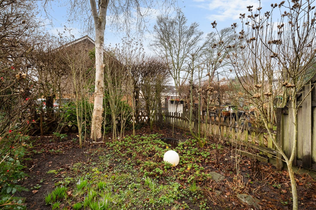 Photo 37 of Struikheide 10