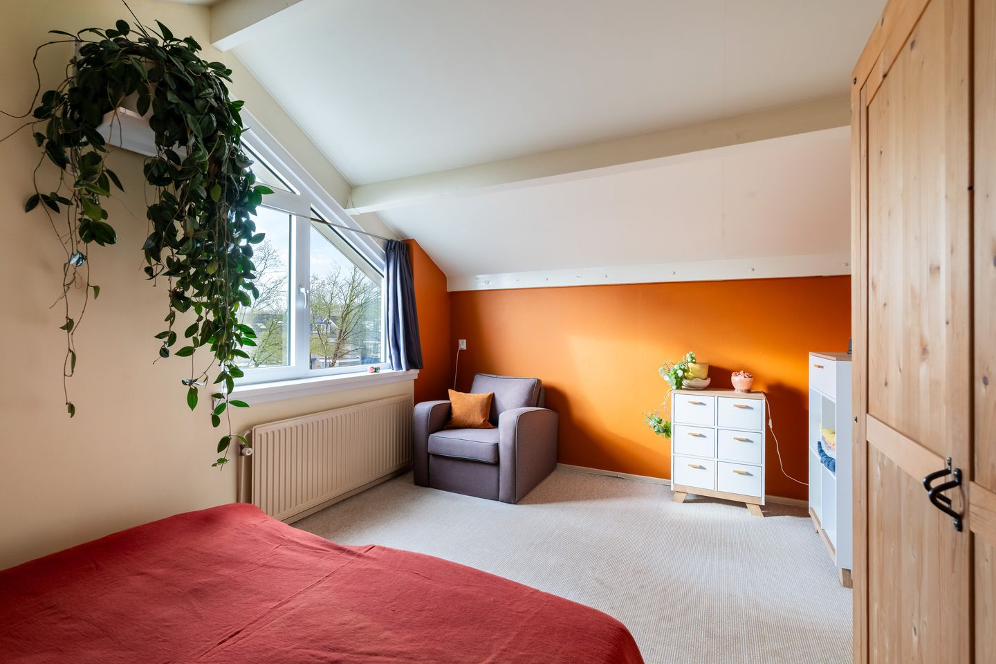 Photo 64 of Struikheide 10