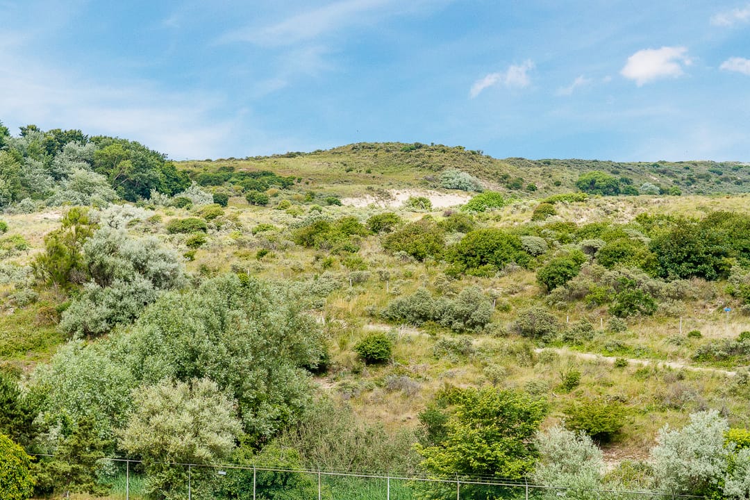 Foto 47 van Hasseltsestraat 46