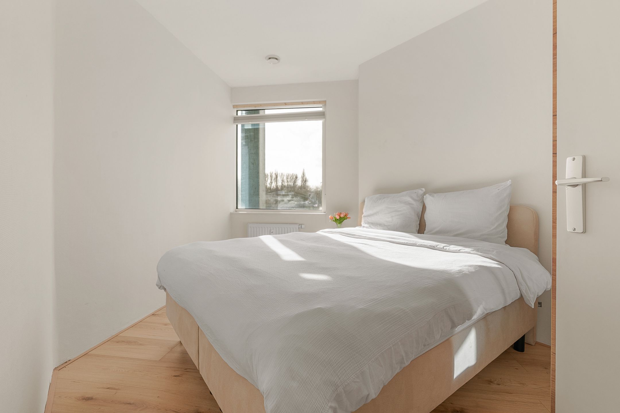 Photo 18 of Veenwal 170