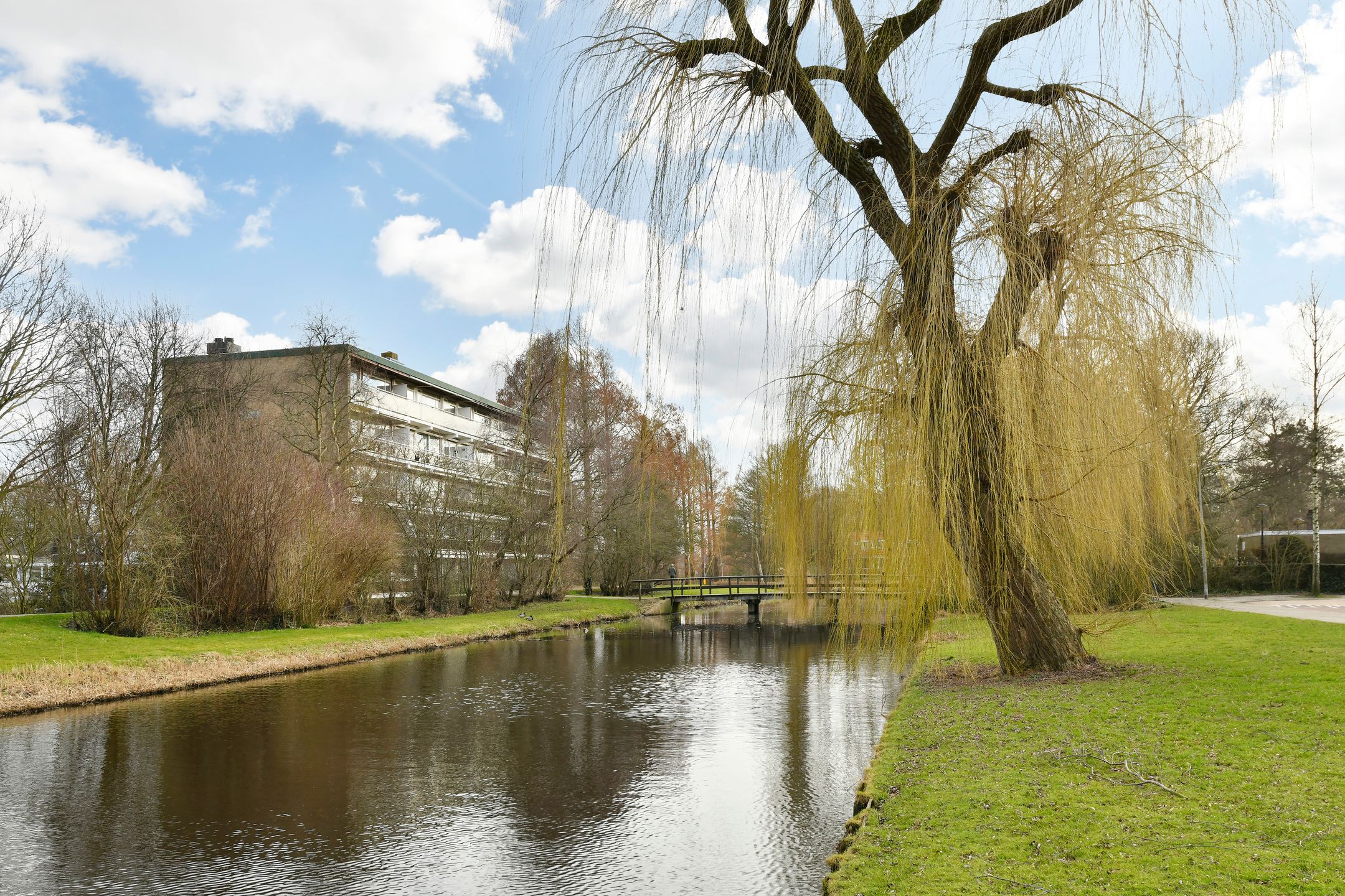 Foto 42 van Graaf Willemlaan 42