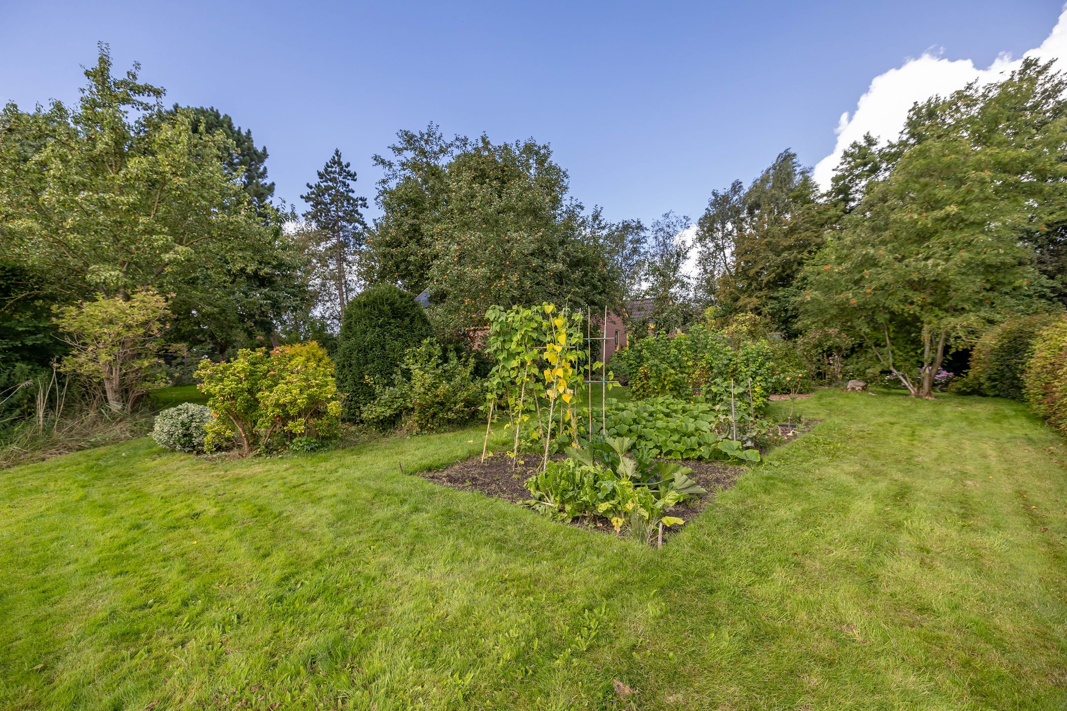 Foto 45 van Geweideweg 15