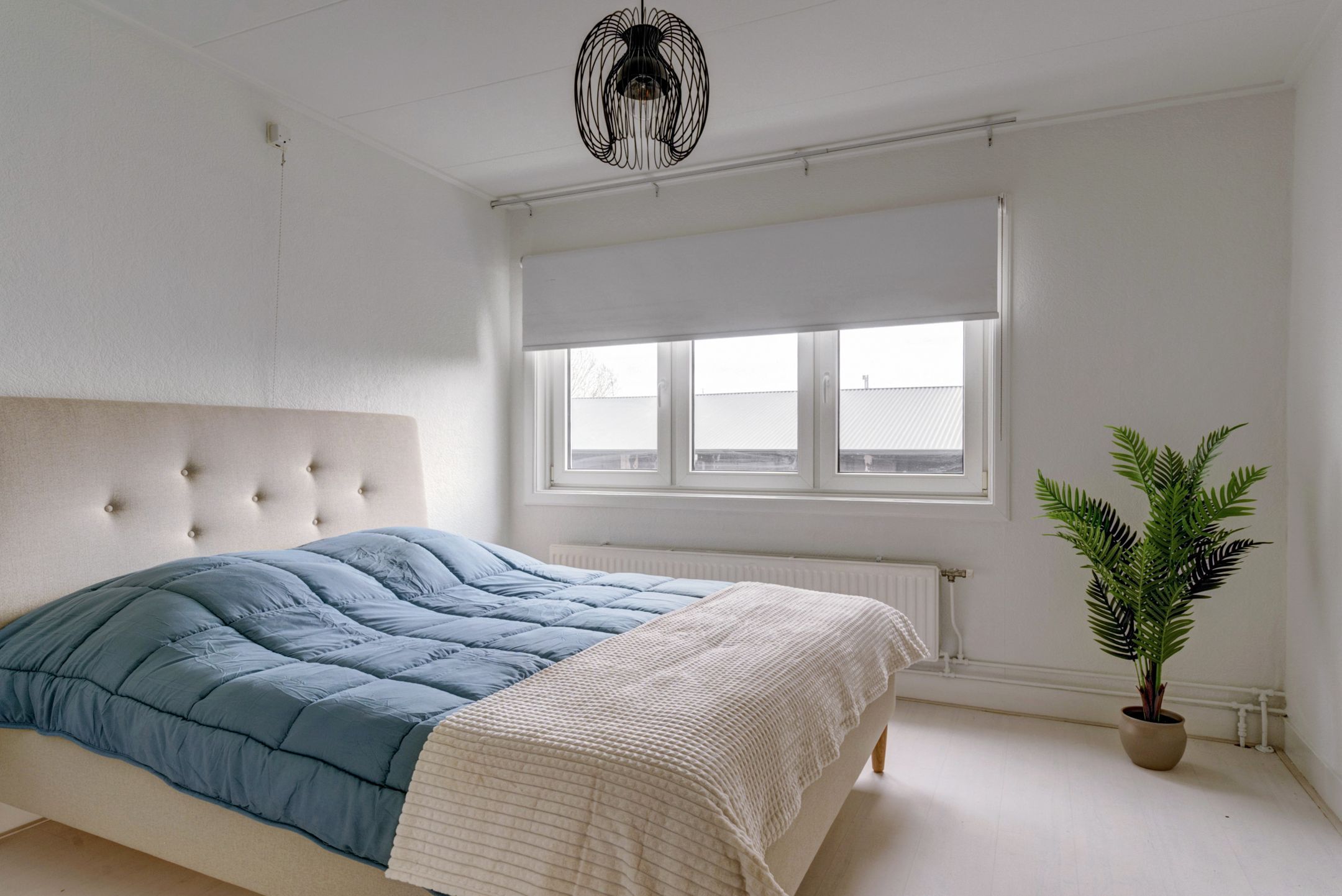 Foto 18 van De Rijpstraat 6