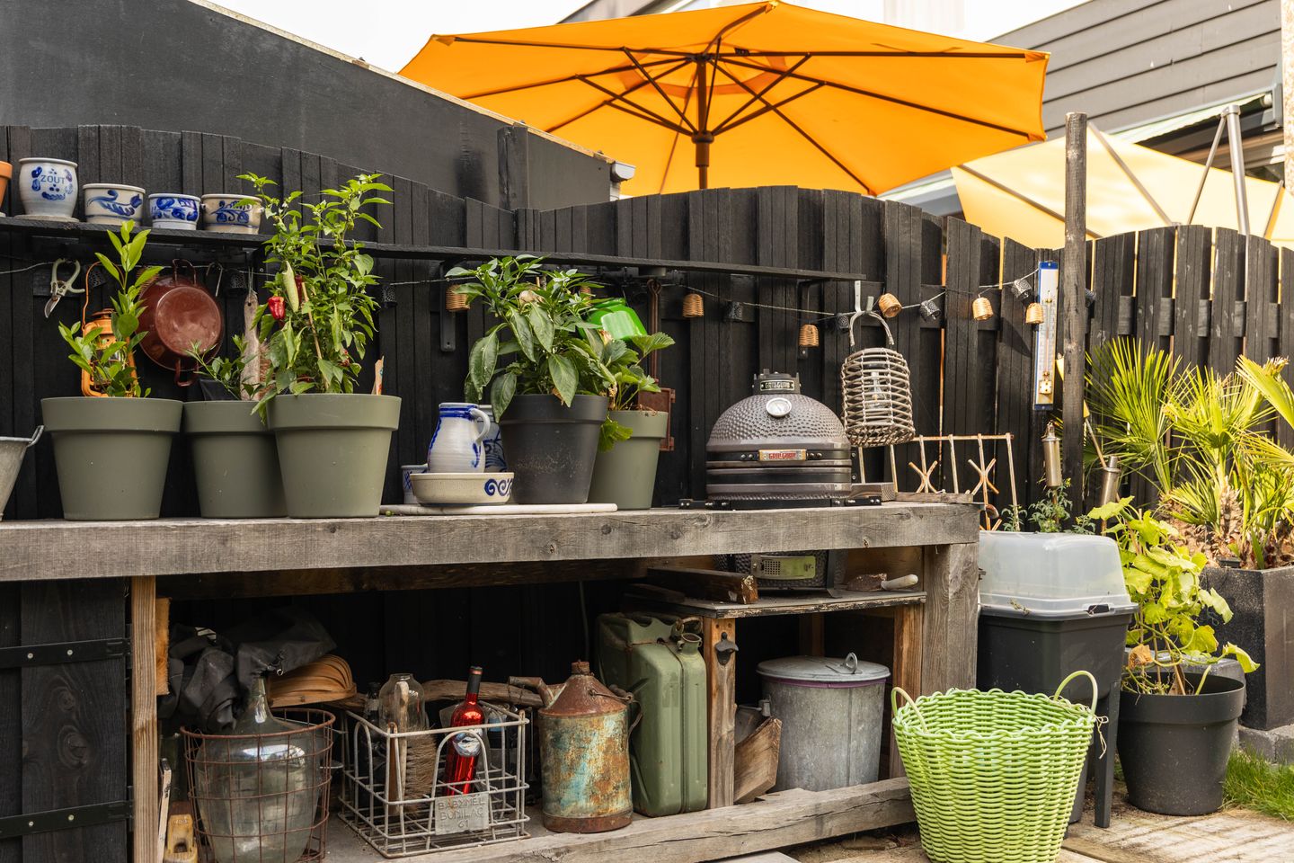 Foto 19 van Pluim-es 58