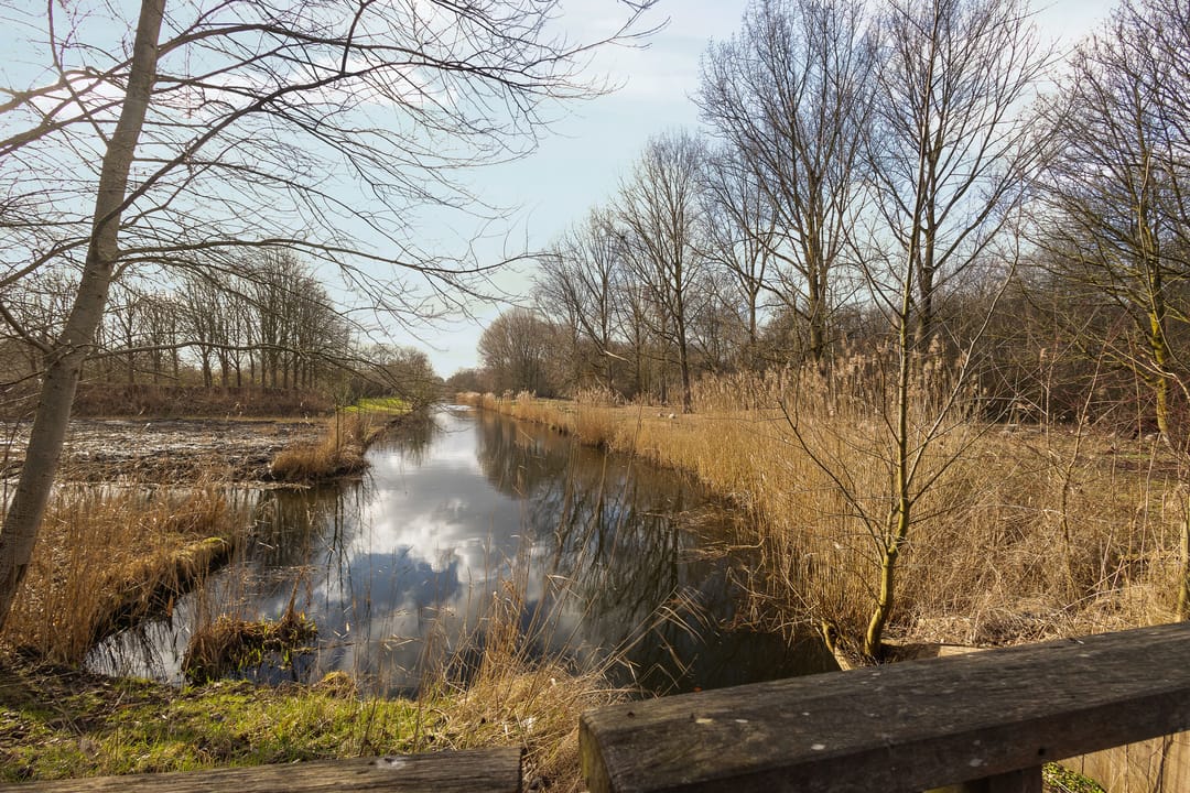 Foto 43 van Peppengouw 171