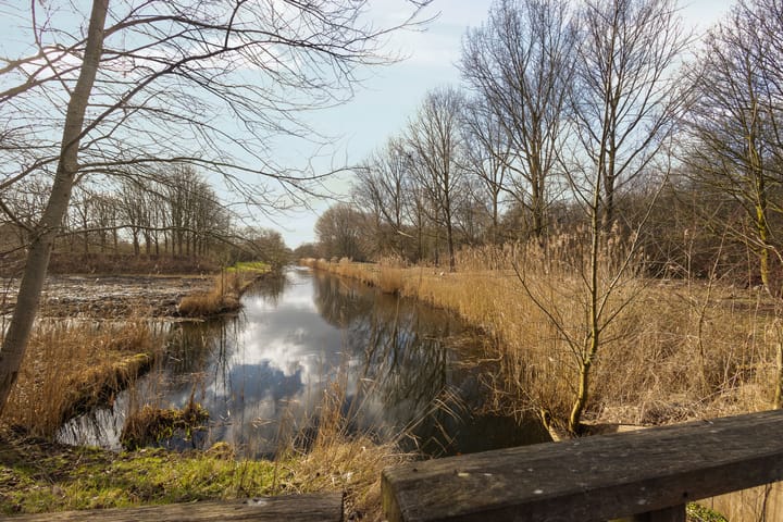 Foto 43 van Peppengouw 171