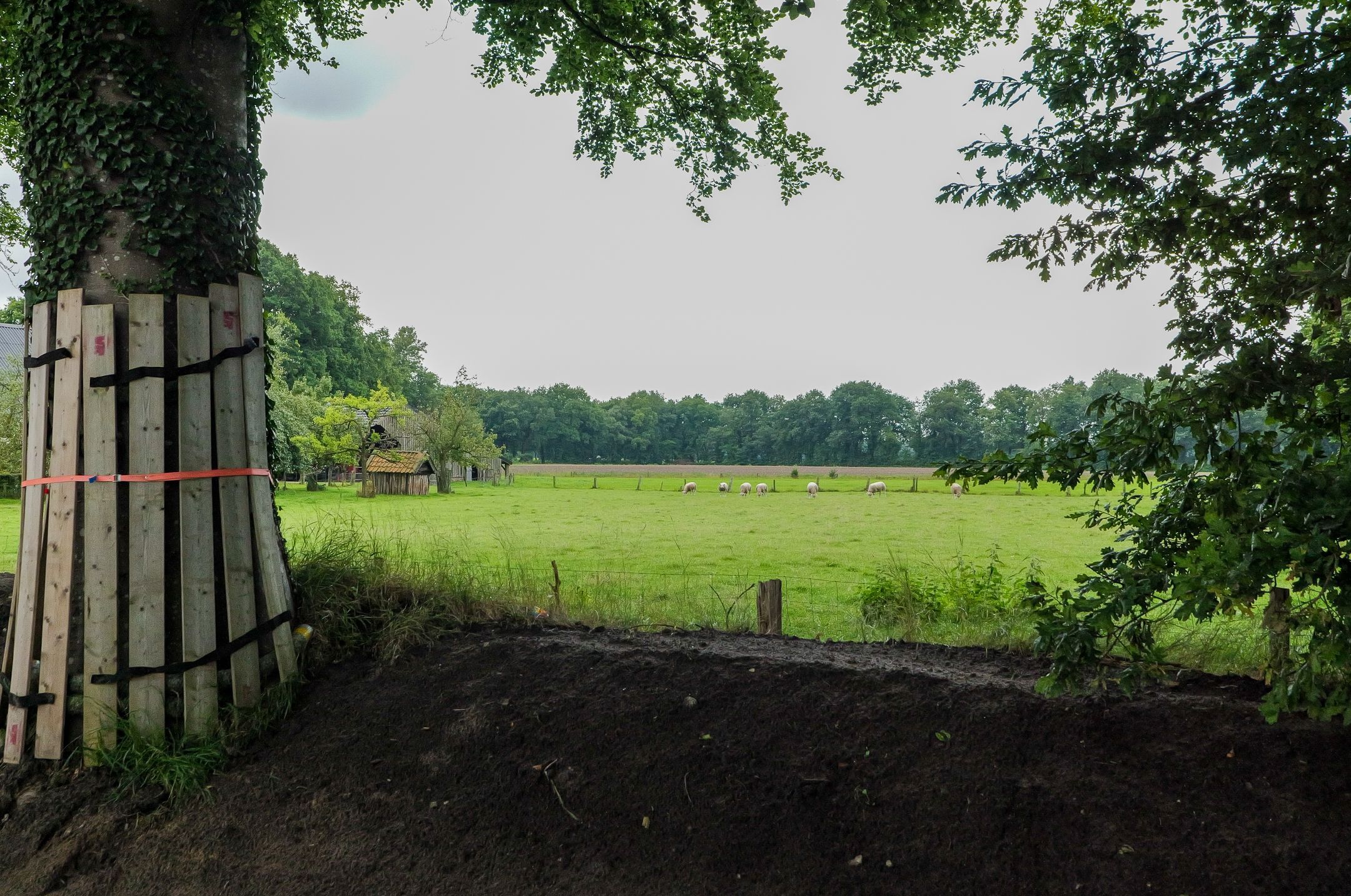 Foto 3 van Dorpsstraat 7