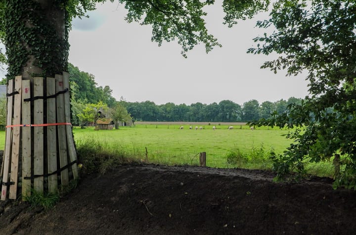 Foto 3 van Dorpsstraat 7