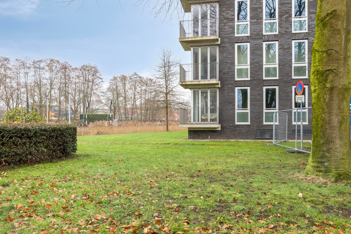 Foto 29 van David Tenierslaan 20