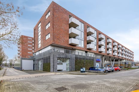 undefined main image