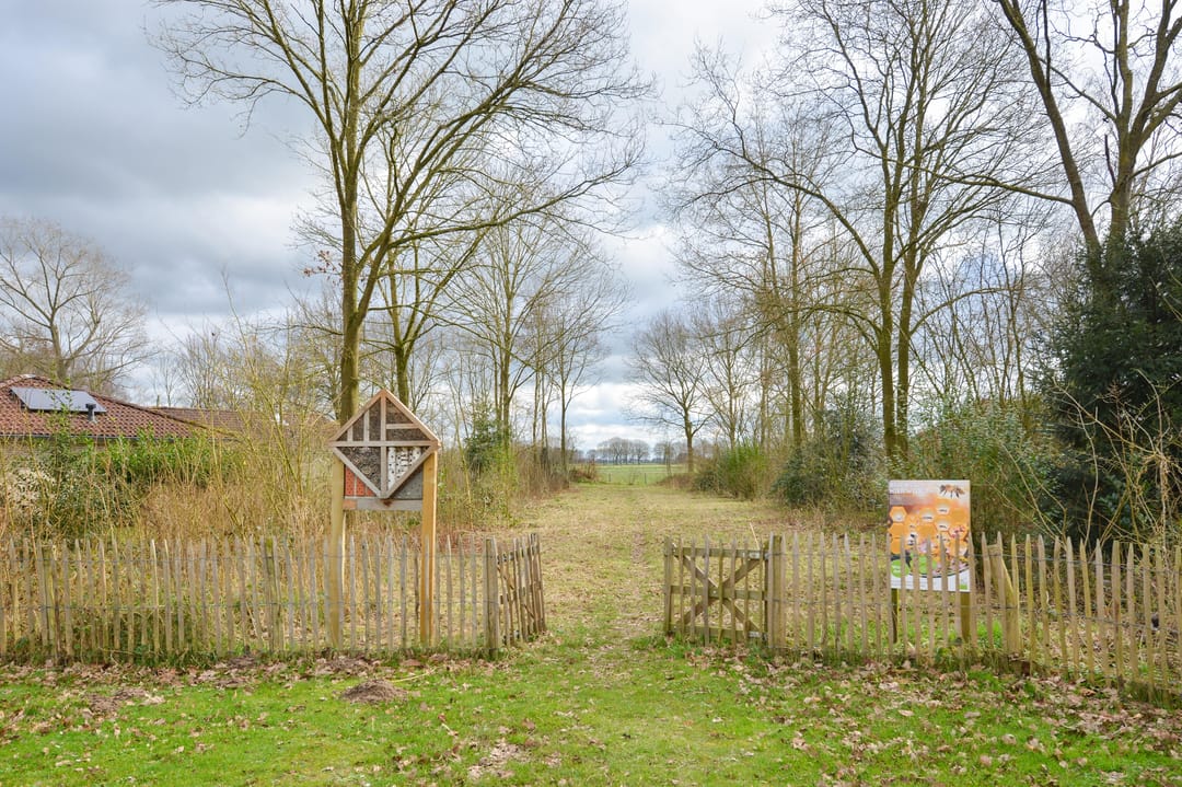 Photo 26 of Landweerswal 2-61
