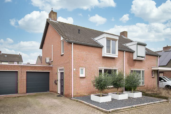 Mosberg 5 main image