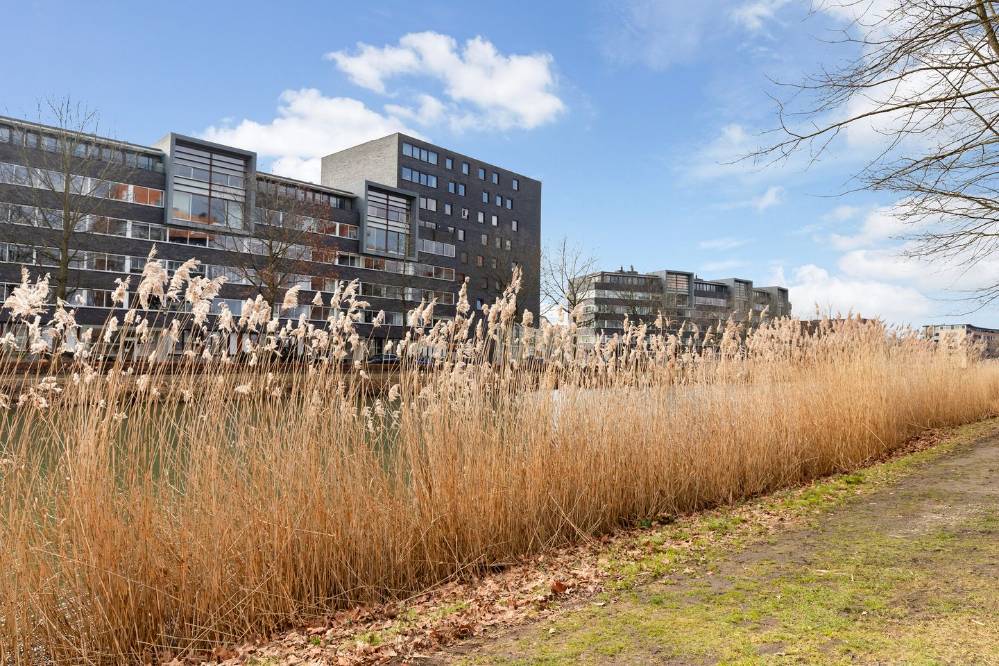 Foto 35 van Stadskade 382