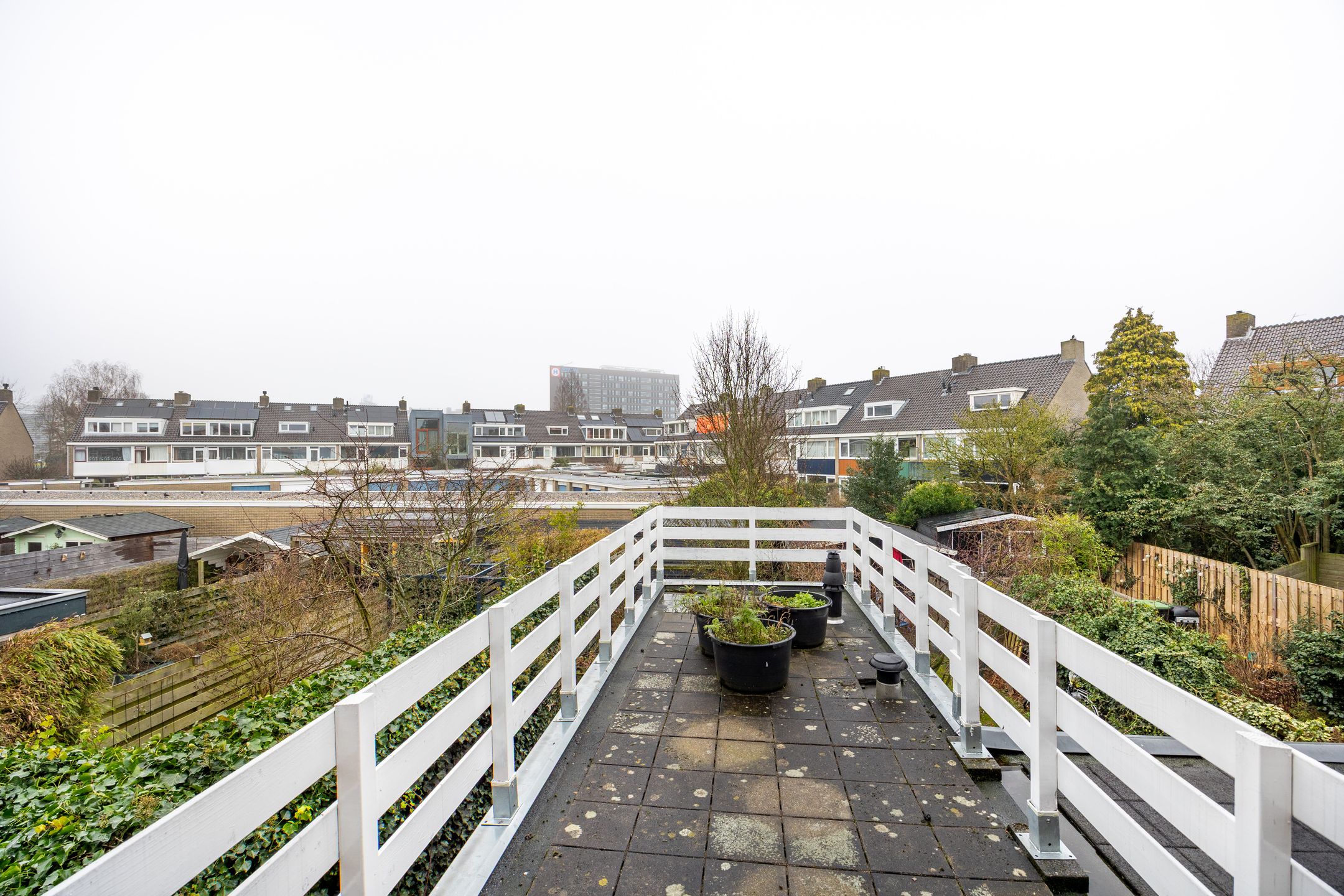 Foto 18 van Coornhertstraat 11