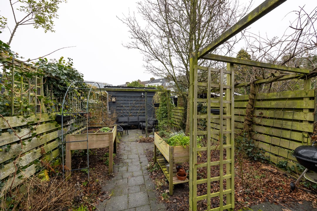 Foto 22 van Coornhertstraat 11