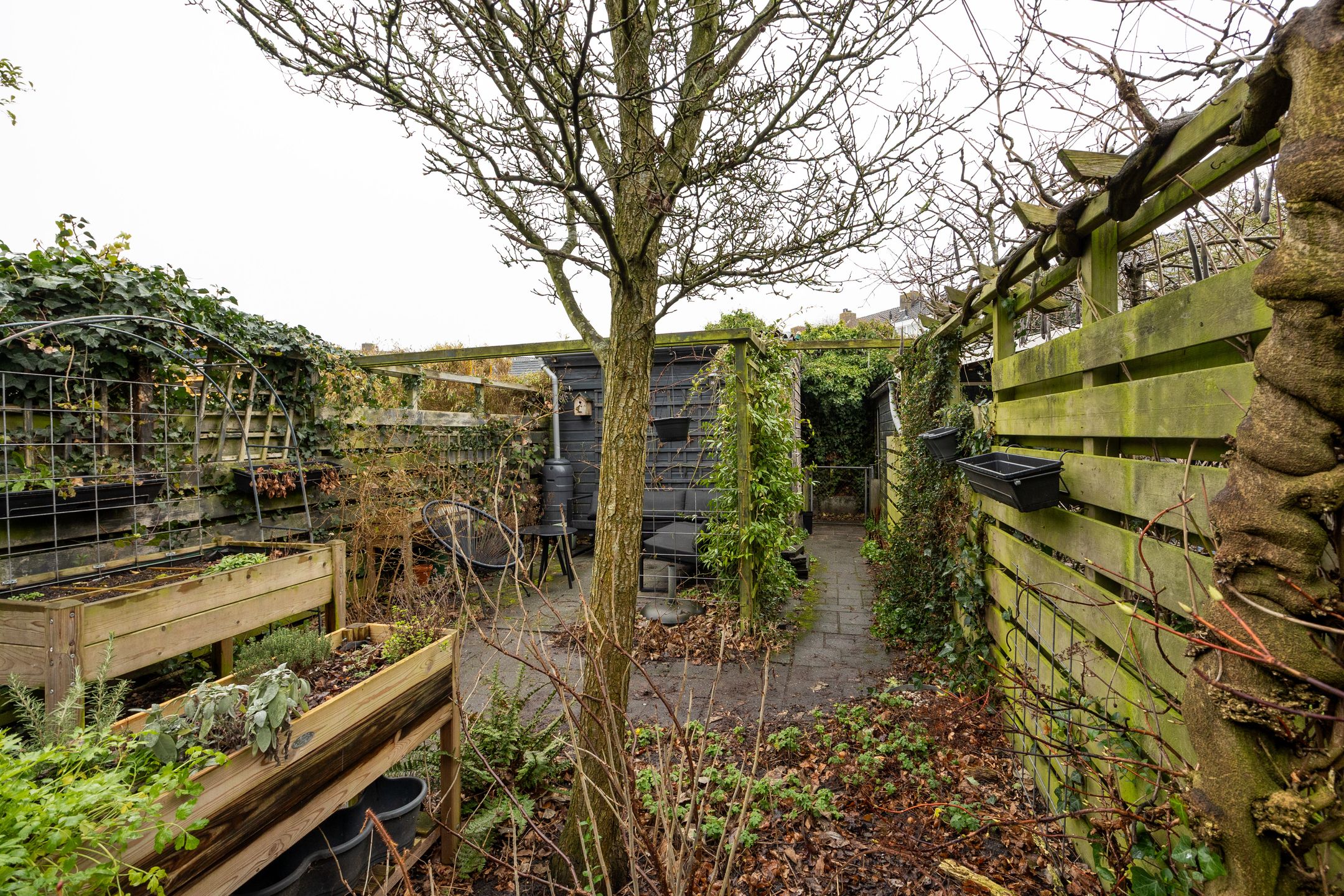 Foto 24 van Coornhertstraat 11