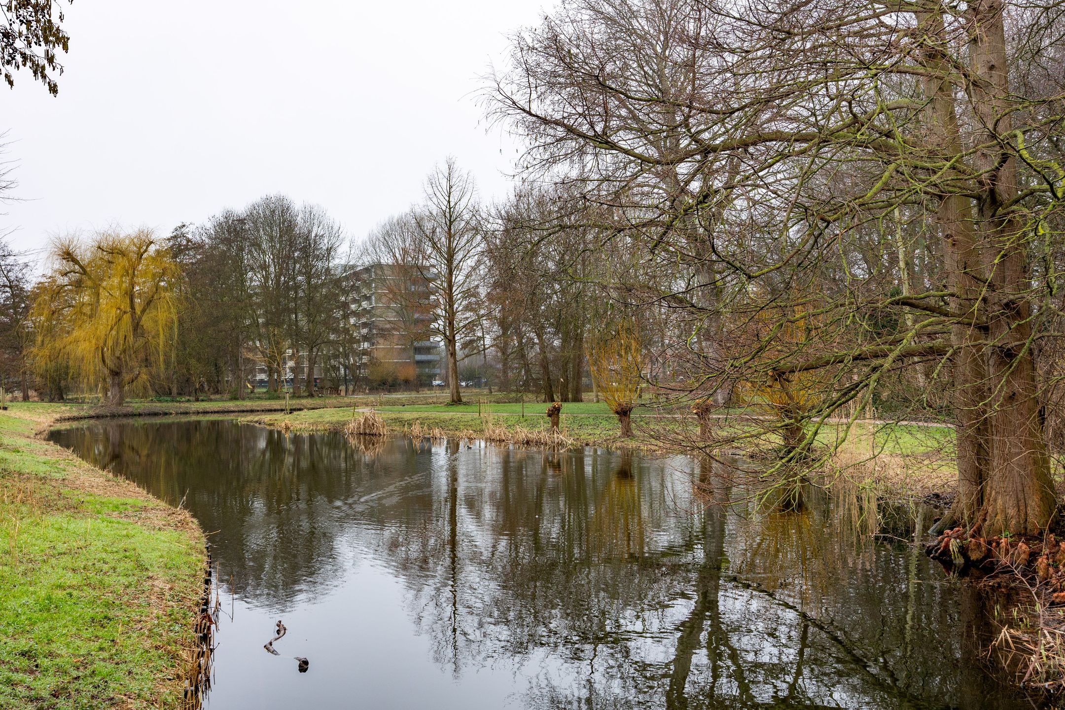 Foto 27 van Coornhertstraat 11