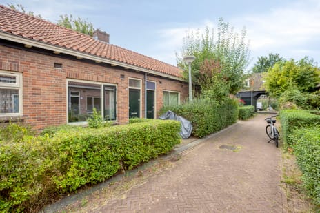 Eerste Vogelstraat thumbnail