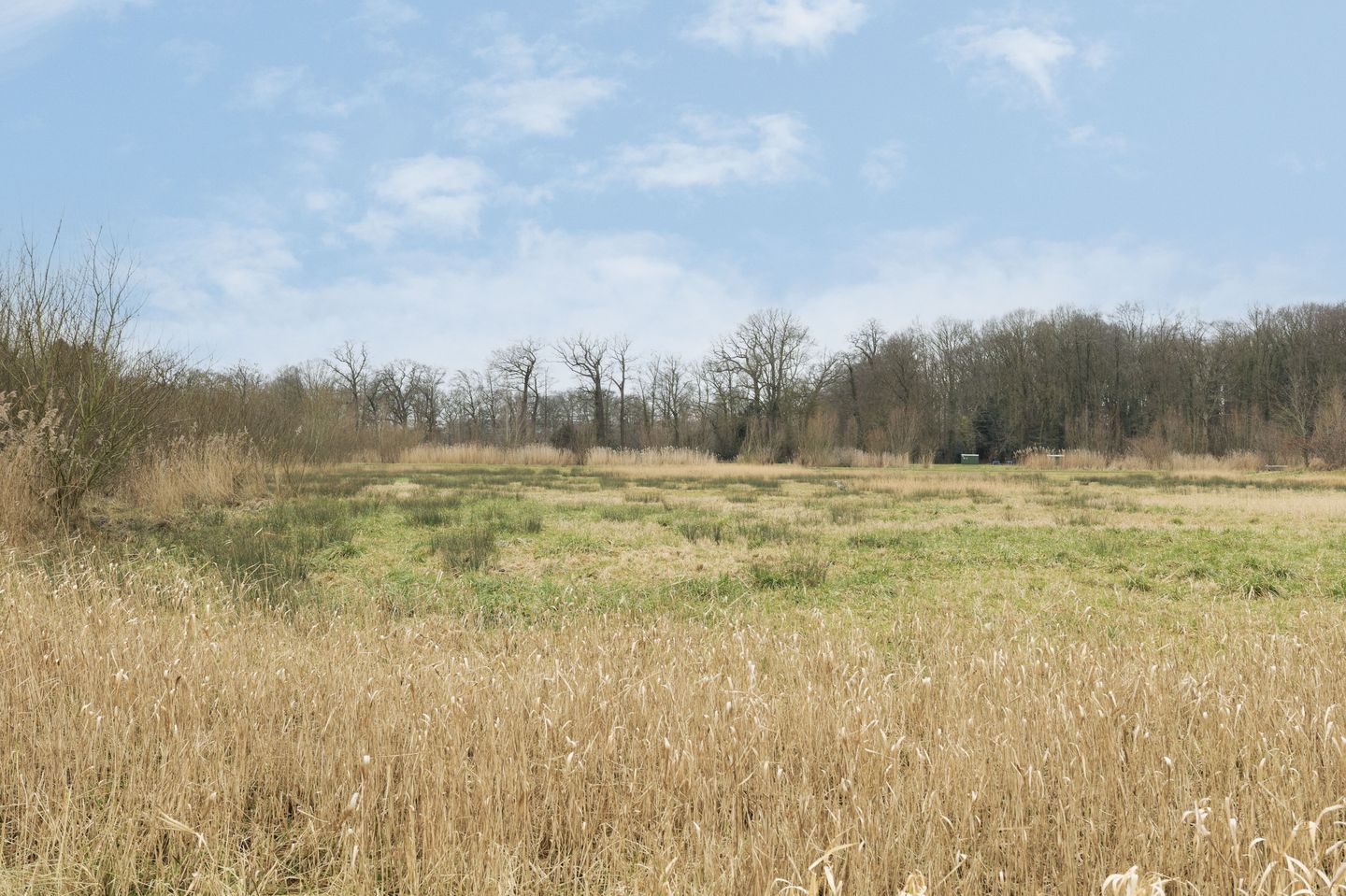 Photo 25 of Van Anrooystraat 15