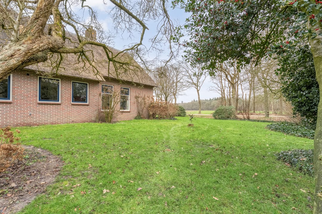 Photo 43 of Stroovledder 11-A
