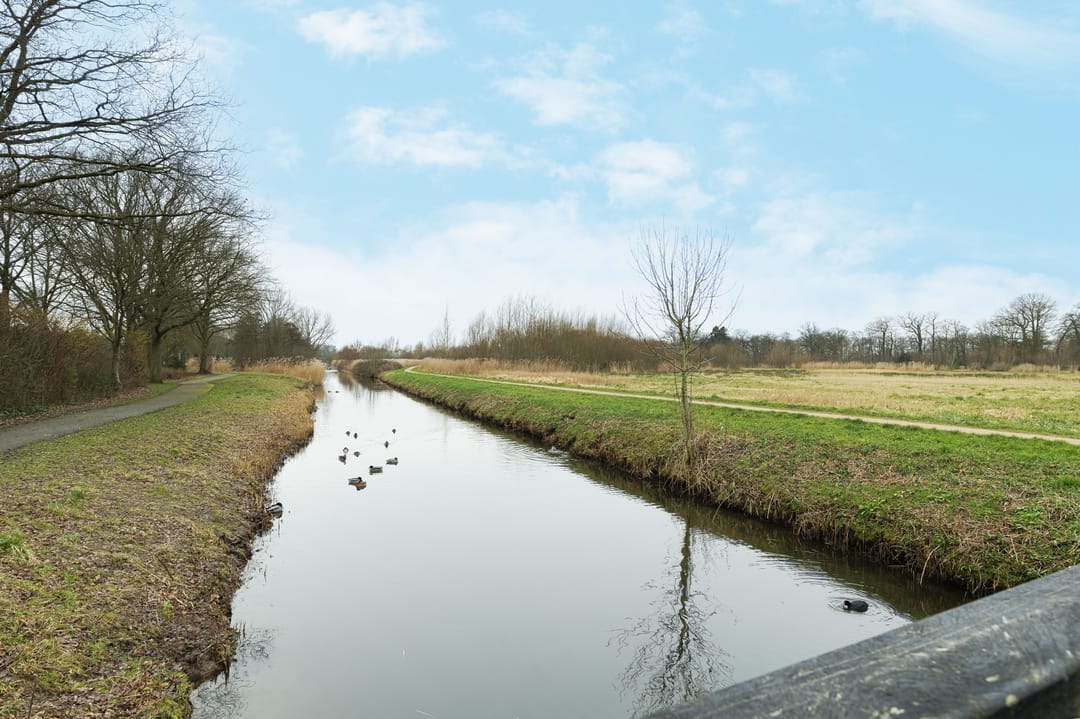 Photo 26 of Van Anrooystraat 15