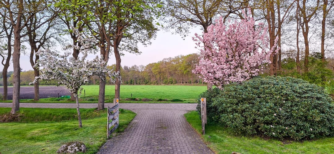 Photo 56 of Stroovledder 11-A