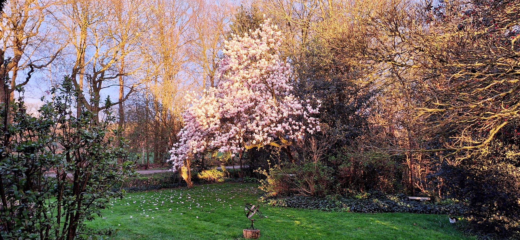 Photo 57 of Stroovledder 11-A