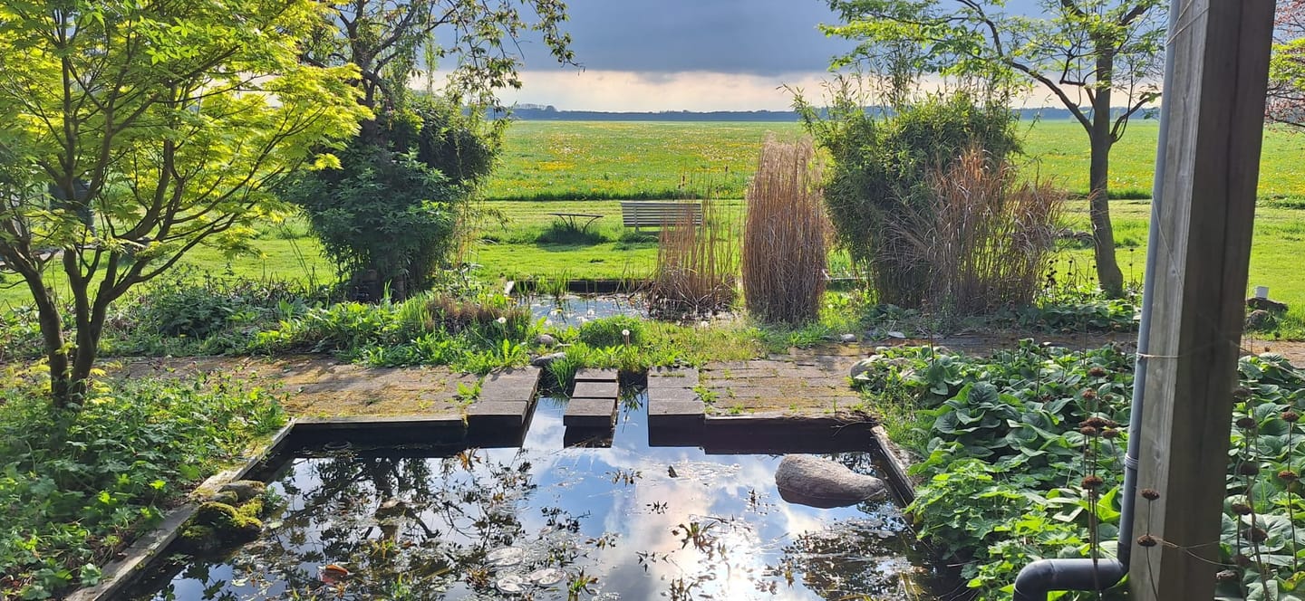 Photo 59 of Stroovledder 11-A